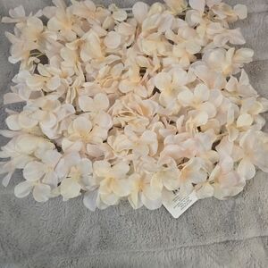 Ashland Blush Pink Floral Mat